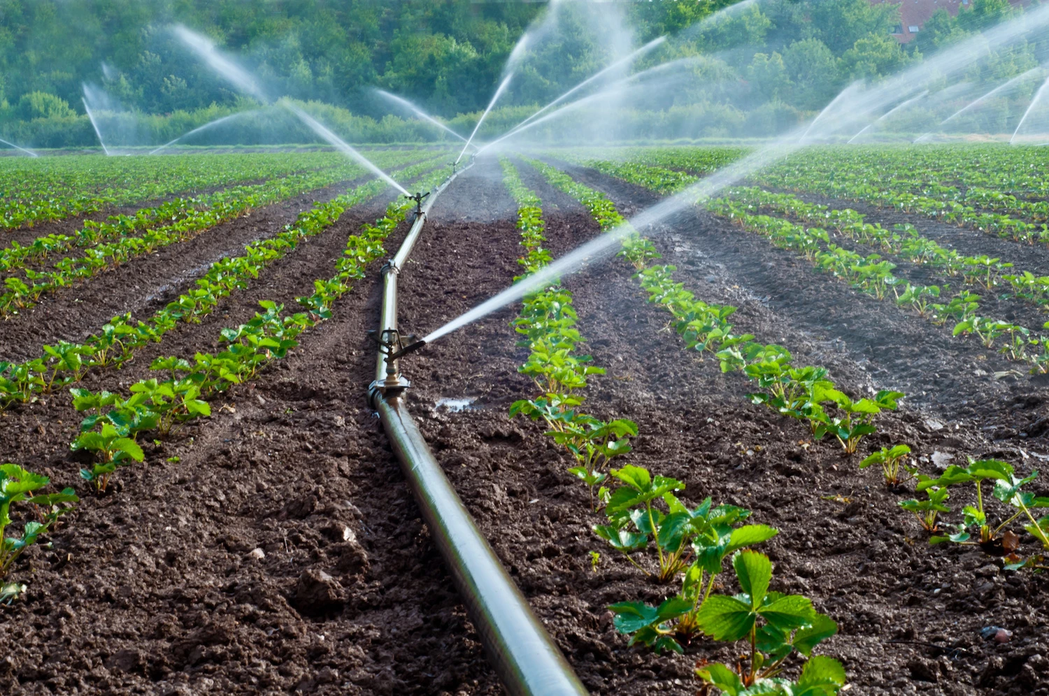 Water Tanker Supply Dubai AdobeStock_33552553 Home  https://water-tanker-supply.com/